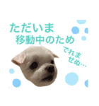 ミルクちゃんの家族スタンプ（いぬ）2（個別スタンプ：6）