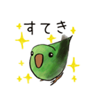 サザナミインコのヨモギ君（個別スタンプ：4）