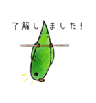 サザナミインコのヨモギ君（個別スタンプ：7）
