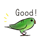 サザナミインコのヨモギ君（個別スタンプ：8）