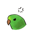 サザナミインコのヨモギ君（個別スタンプ：11）