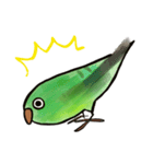 サザナミインコのヨモギ君（個別スタンプ：14）