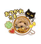 トイプーのLOVEだよ（個別スタンプ：3）