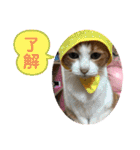 ロッシー＆くっきー（個別スタンプ：4）