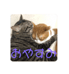 ロッシー＆くっきー（個別スタンプ：13）