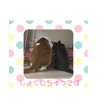 ロッシー＆くっきー（個別スタンプ：20）