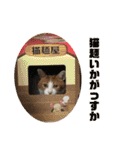 ロッシー＆くっきー（個別スタンプ：25）