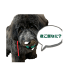 REOだよ（個別スタンプ：2）
