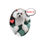 はなろんスタンプ（個別スタンプ：1）