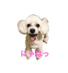 はなろんスタンプ（個別スタンプ：4）