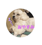 はなろんスタンプ（個別スタンプ：5）