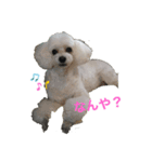 はなろんスタンプ（個別スタンプ：8）