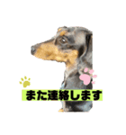 るびさふぁスタンプbyてぃあらママ3（個別スタンプ：2）