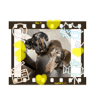 るびさふぁスタンプbyてぃあらママ3（個別スタンプ：4）