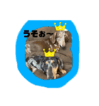 るびさふぁスタンプbyてぃあらママ3（個別スタンプ：6）