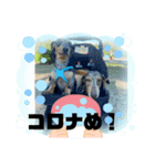 るびさふぁスタンプbyてぃあらママ3（個別スタンプ：8）