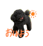 あらしくんの日常（個別スタンプ：5）