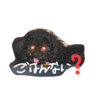 あらしくんの日常（個別スタンプ：8）