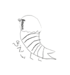 トリちゃん＆フレンズ（個別スタンプ：11）