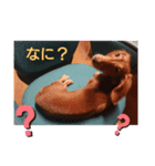チェリー(  ´꒳`  )vol.2（個別スタンプ：1）
