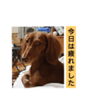 チェリー(  ´꒳`  )vol.2（個別スタンプ：2）