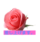 寄せ集めスタンプ3（個別スタンプ：5）