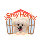 まる子の日常✨（個別スタンプ：3）