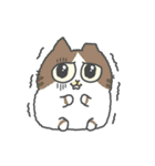 動く！ぽちゃねこ♡MeowMeowArupaca（個別スタンプ：19）