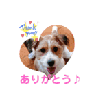 love☆ジャック3（個別スタンプ：7）