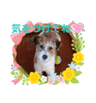 love☆ジャック3（個別スタンプ：8）