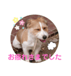 love☆ジャック3（個別スタンプ：9）