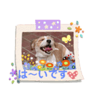 love☆ジャック3（個別スタンプ：12）