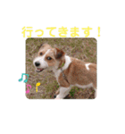 love☆ジャック3（個別スタンプ：14）