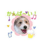 love☆ジャック3（個別スタンプ：16）