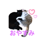 ✴︎stamp✴︎（個別スタンプ：5）