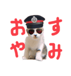 ✴︎stamp✴︎（個別スタンプ：6）