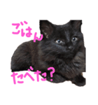✴︎stamp✴︎（個別スタンプ：7）