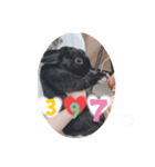 うさぎのノアくんスタンプ（個別スタンプ：6）