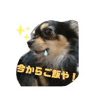 うぃぬの一言（個別スタンプ：1）