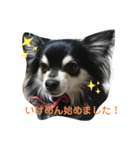 うぃぬの一言（個別スタンプ：2）