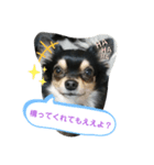 うぃぬの一言（個別スタンプ：4）