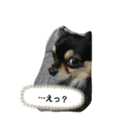 うぃぬの一言（個別スタンプ：7）