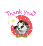うさぎのクローバースタンプ（個別スタンプ：5）