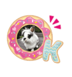 うさぎのクローバースタンプ（個別スタンプ：7）