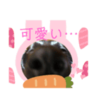わんちゃん！！可愛いよ！！（個別スタンプ：4）
