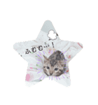 ベンガル猫のフェリスくん 仔猫ver.（個別スタンプ：5）