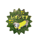 レオンのスタンプ！（個別スタンプ：2）