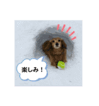レオンのスタンプ！（個別スタンプ：5）