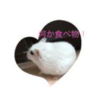 ハムダイ2（個別スタンプ：1）