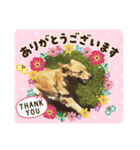 サラ・ギンのラインスタンプ（個別スタンプ：5）